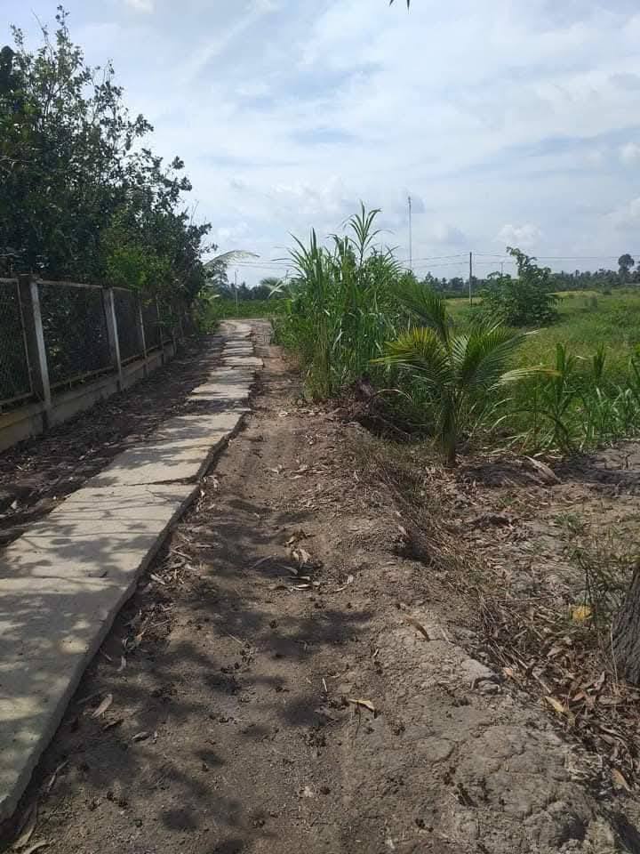 Đất cây lâu năm tại Cái Nhum, Vĩnh Long 2479m² giá 2.32 tỷ - Cơ hội đầu tư hấp dẫn!