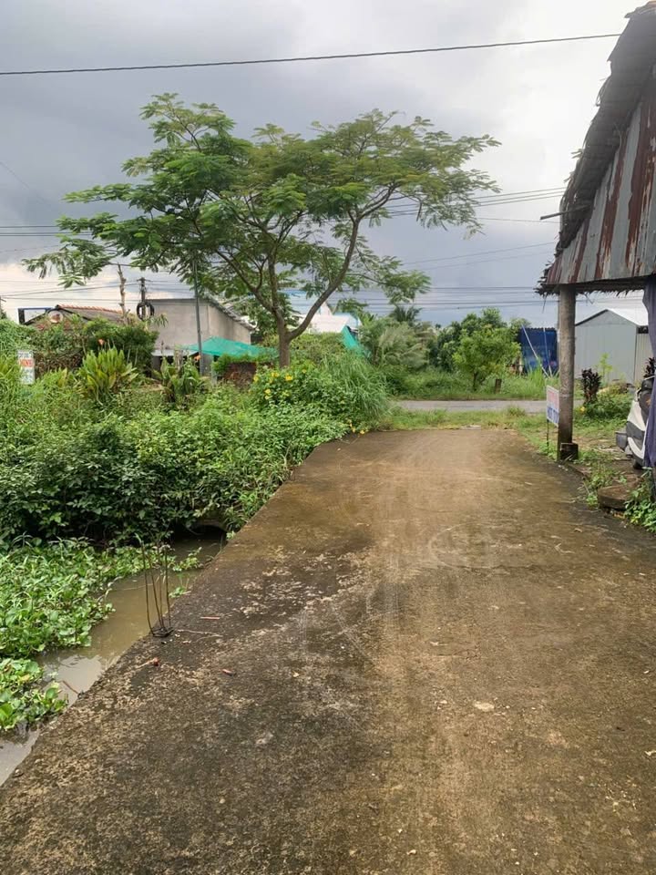 Bán đất có nhà sẵn tại Nhơn Phú, Vĩnh Long 1026m² - Vị trí đắc địa phát triển!