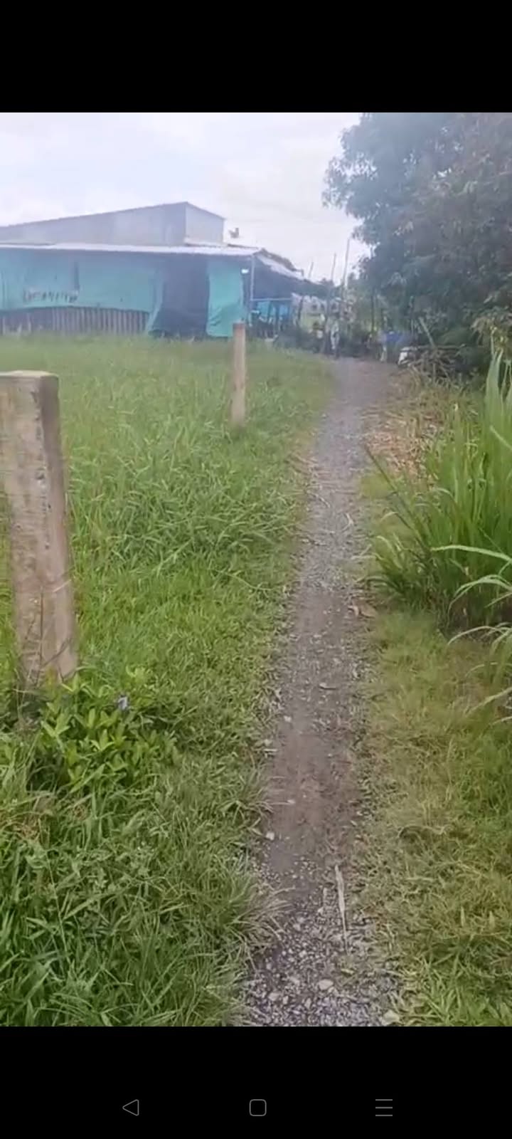 Đất nền Long Bình, Gò Công Tây 1593m² chỉ 250 triệu - Cơ hội đầu tư tuyệt vời!