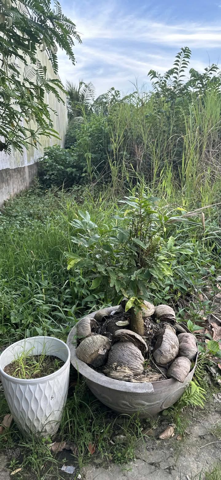 Đất nền KDC Hạnh Phúc - Đường Nguyễn Văn Linh, 99m² - Giá chỉ 1.5 tỷ!