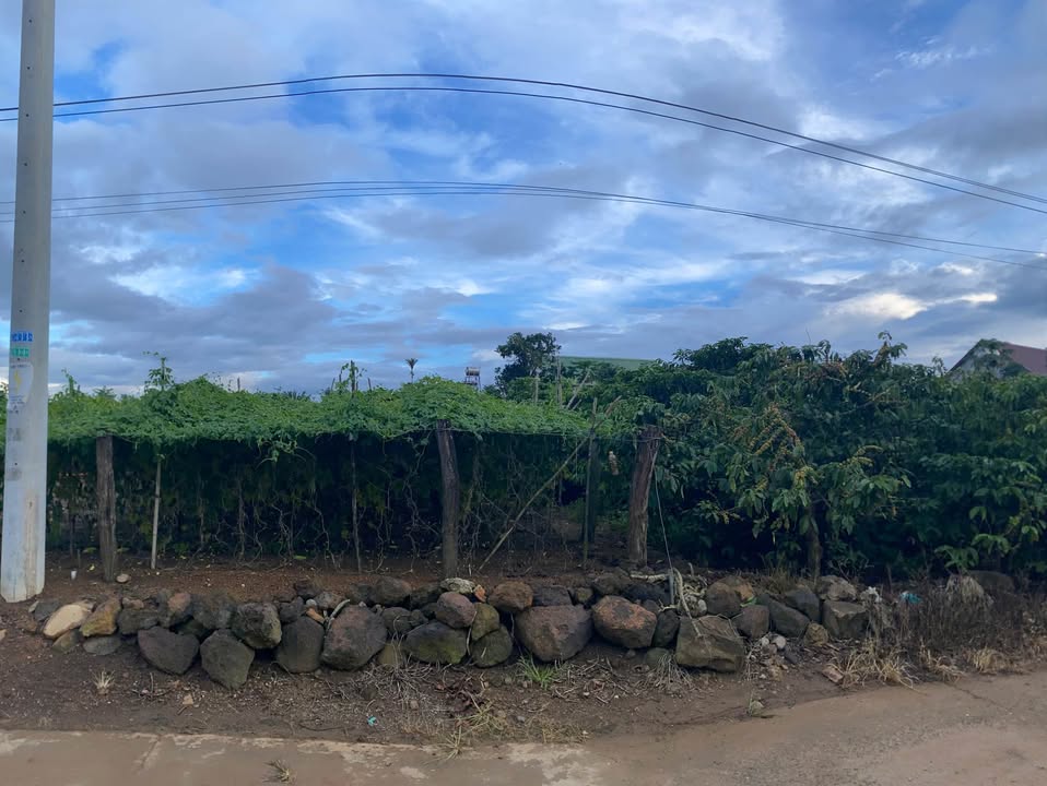 Đất thổ cư ấp Ba Cảng, Tân Hội 252m² giá chỉ 750 triệu - Đầu tư sinh lời nhanh!