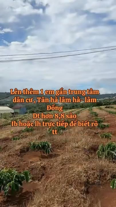 Đất nền Tân Hà, Lâm Hà 3168m² giá 2.52 tỷ - Sổ đỏ chính chủ, đầu tư sinh lời!