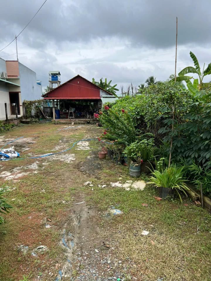 Đất thổ cư 148,5m² tại xã Phước Vân, Cần Đước - Giá chỉ 2,2 tỷ, phù hợp kinh doanh!