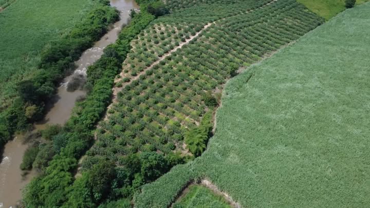 Đất Farm 10ha tại Ea Sô, Đăk Lăk giá 6.9 tỷ - Sổ đỏ chính chủ, ô tô vào tận nơi!