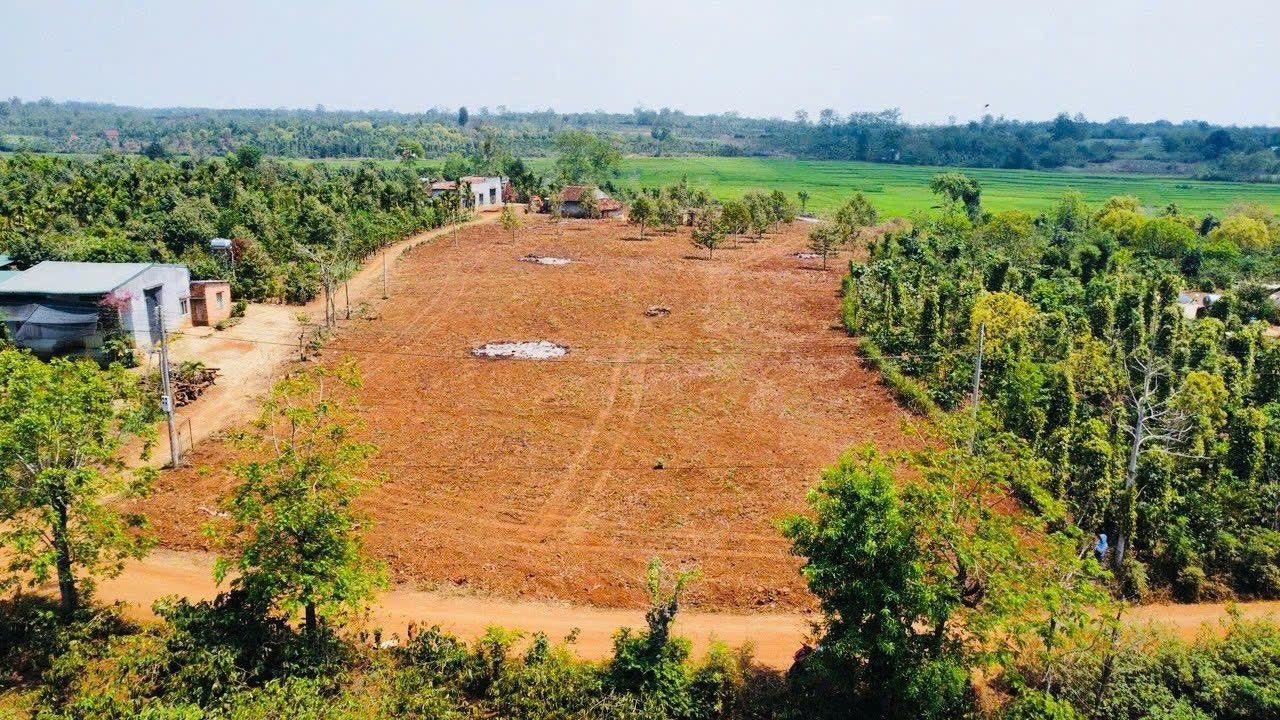 Đất nền Cư Bao Buôn Hồ 476m² giá 2xx triệu - Mua ngay không cần suy nghĩ!