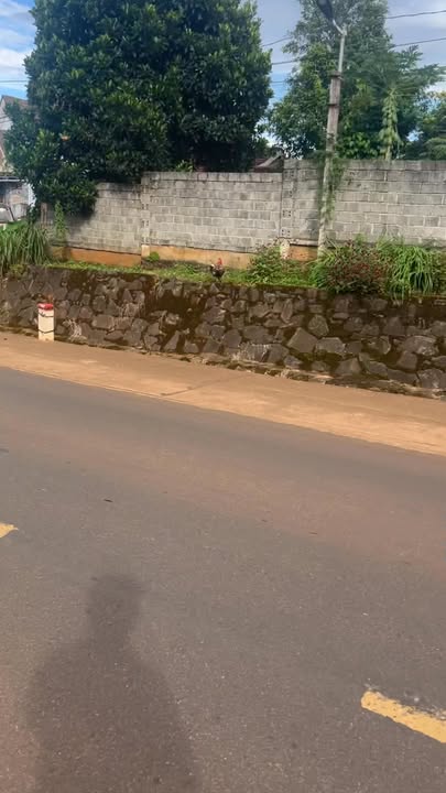 Đất thổ cư mặt đường QL 29 xã Phú Xuân 600m² - Tiềm năng đầu tư lớn!