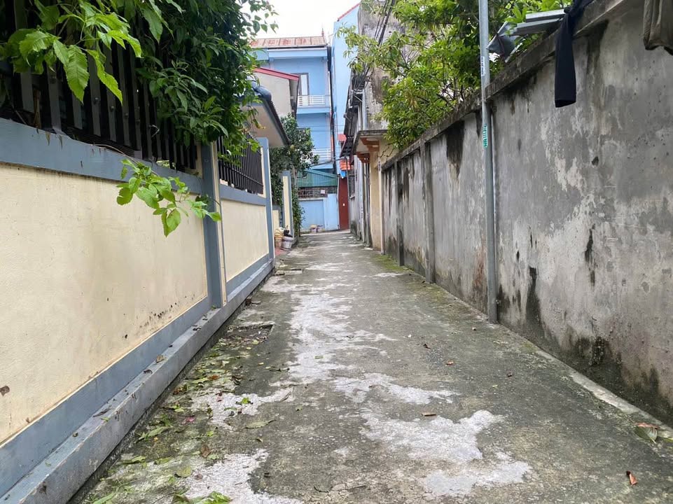 Bán đất Tân Minh Thường Tín 80m² giá 3x tỷ - Lô góc 3 mặt tiền sầm uất!