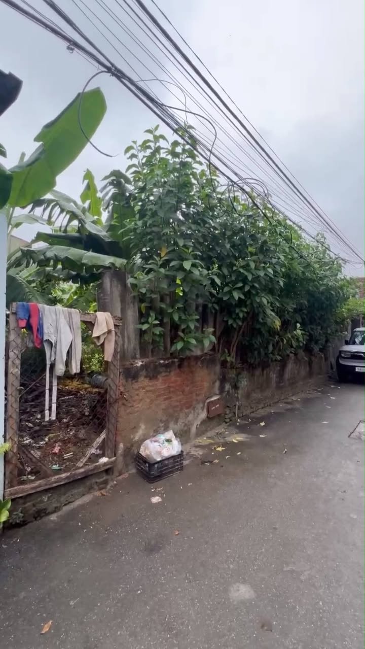 Đất thổ cư thôn Song Khê Bắc Giang 128m² giá 3 tỷ - Đầu tư sinh lời ngay!