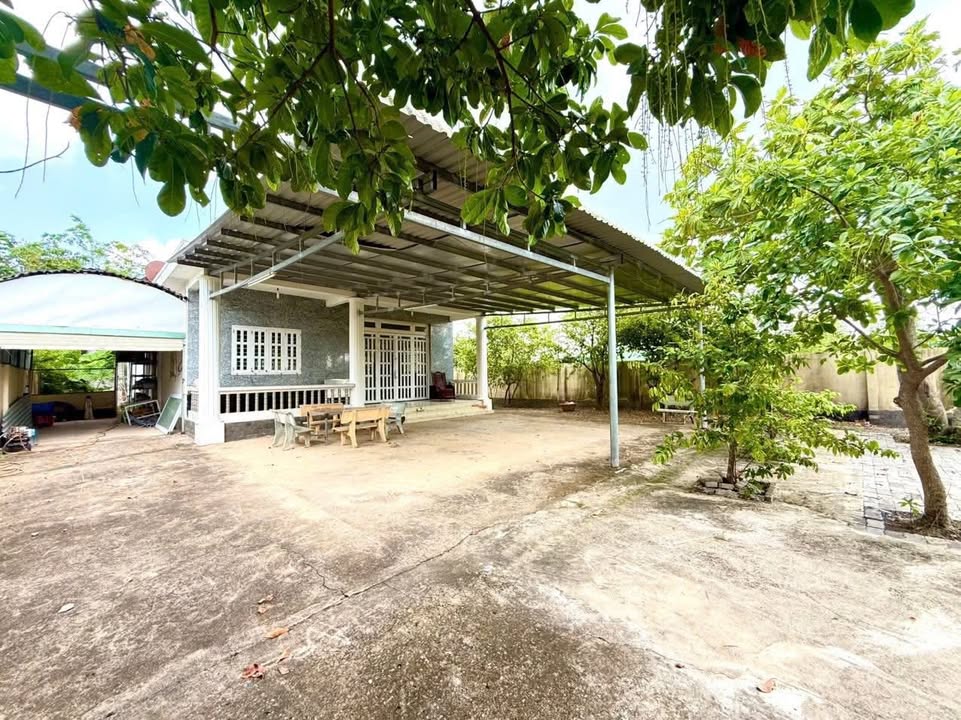 Nhà vườn mặt tiền đường nhựa Lộc Trung, Cần Giuộc, 2000m² giá 10 tỷ - Cơ hội đầu tư hấp dẫn!