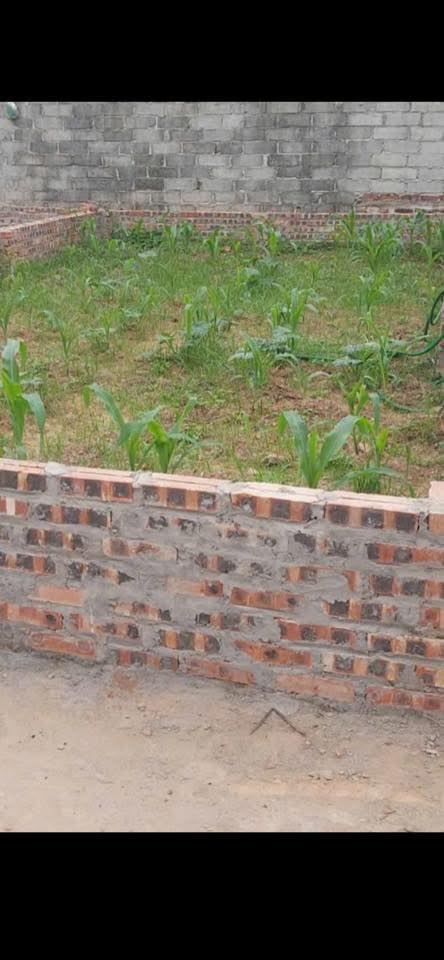 Đất thổ cư Phù Đổng 50m² giá 3 tỷ - Kết nối giao thông thuận lợi!