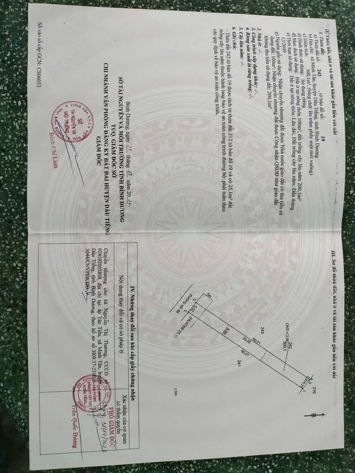 Đất nền Minh Tân Dầu Tiếng 300m² giá 400 triệu - Đầu tư sinh lời ngay!