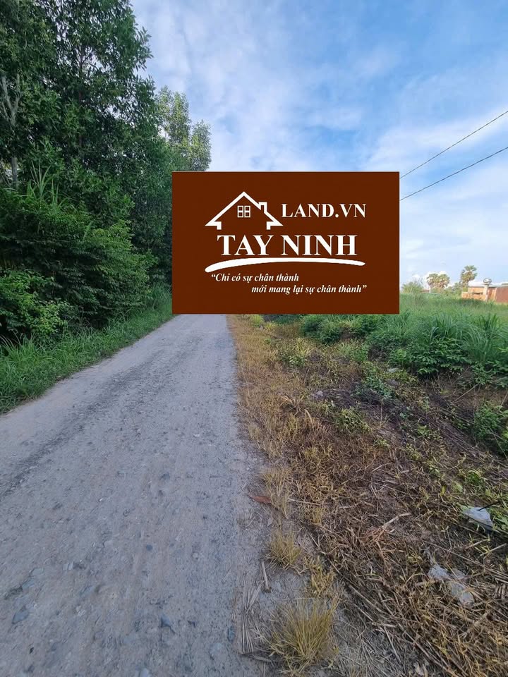 Đất thổ cư Trường Hòa, Hòa Thành 1100m² giá 2 tỷ - Đầu tư sinh lời ngay!