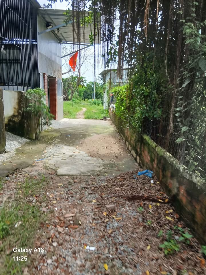 Nhà cấp 4 đường Mai Thị Dõng, Nha Trang 80m² giá 1.3 tỷ - Hướng Đông mát mẻ!