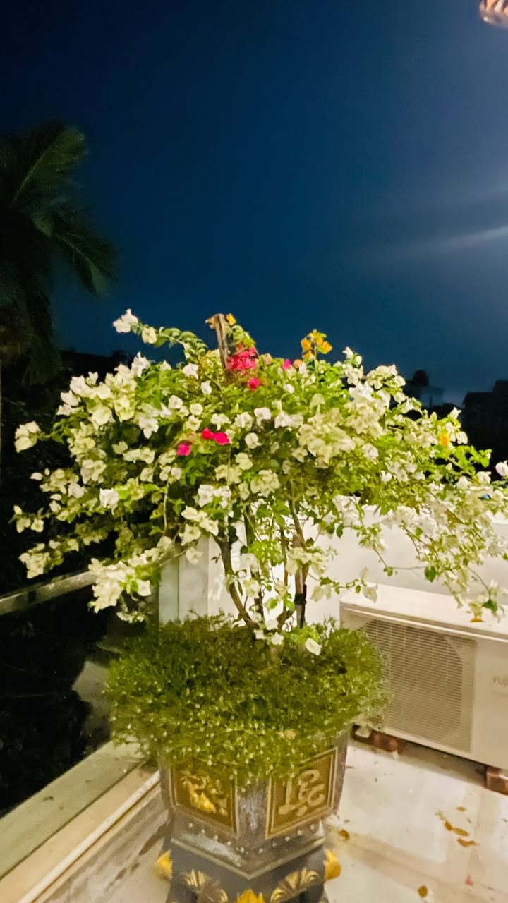 Đất nền Thượng Tùng, Tân An 92m² giá 1.2 tỷ - Pháp lý rõ ràng, sẵn sàng đầu tư!