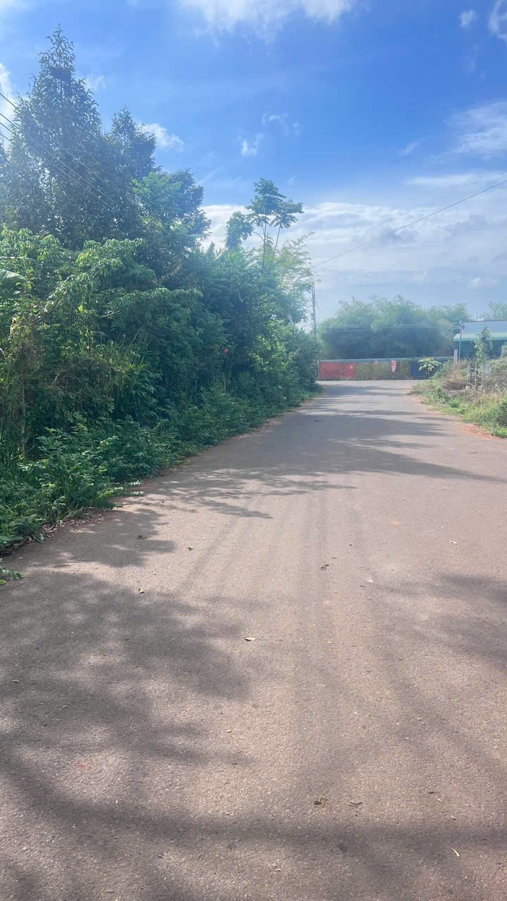 Đất vườn mặt tiền đường 78 Long Phước 2000m² giá 7.3 tỷ - Đầu tư sinh lời ngay!