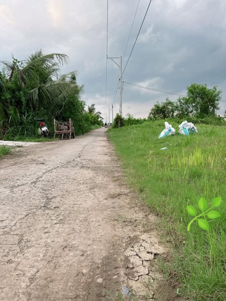 Đất thổ cư Tân Điền Gò Công Đông 120m² giá chỉ 290 triệu - Đường xe hơi vào tận nơi!