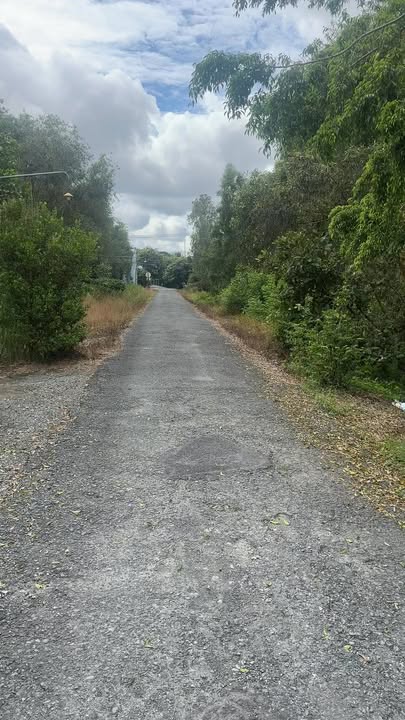 Đất thổ cư 144,6m² mặt tiền TL865, xã Tân Phước 1, Đồng Tháp - Giá chỉ 1 tỷ VND thương lượng!