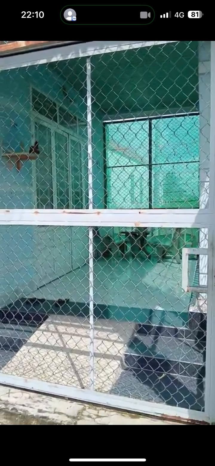 Nhà phố Giồng Tre, Bình Minh 97m² giá 820 triệu - Cơ hội sở hữu ngay!