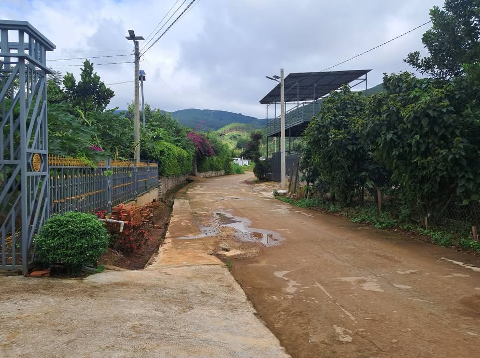 Đất thổ cư Nam Ban Đà Lạt 435m² giá 1.19 tỷ - Sổ hồng chính chủ, gần đường nhựa