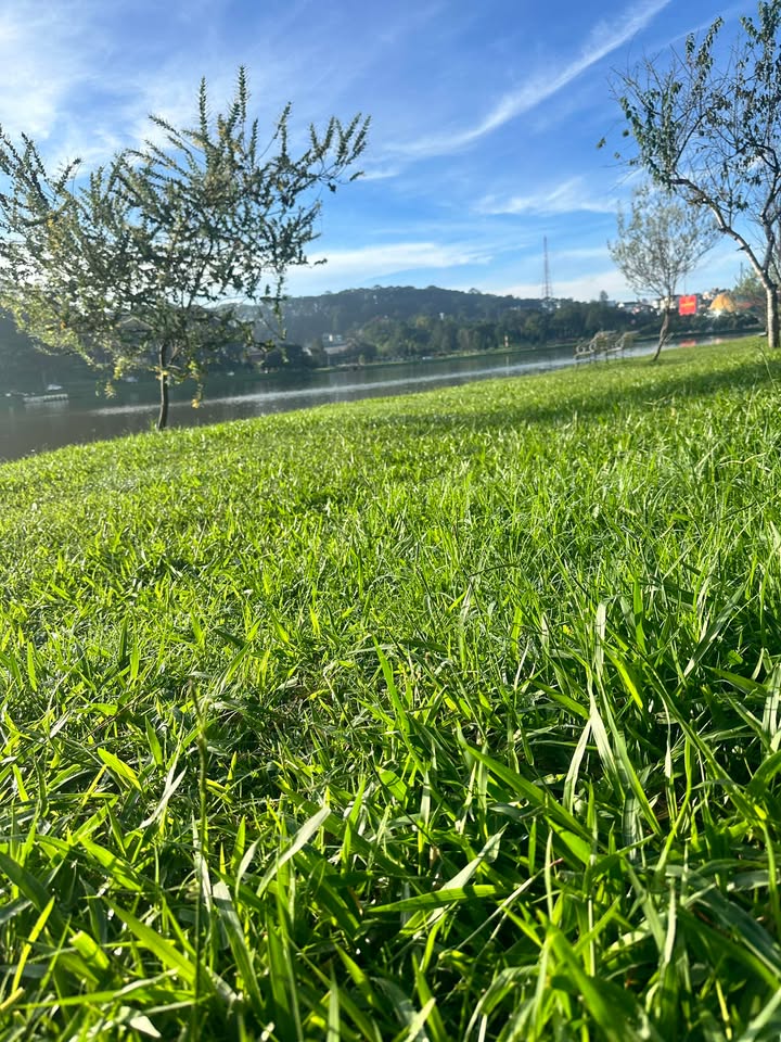 Lô đất mặt tiền đường chính tại khu đô thị Vạn Xuân, Đà Lạt 105m² - Cơ hội đầu tư sinh lời!