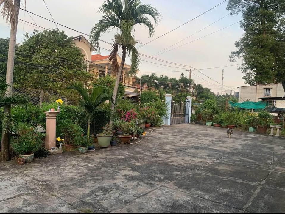 Đất nền Trấn Biên Đồng Nai 1700m² giá 26 tỷ - Vị trí đắc địa, mặt tiền đường lớn!