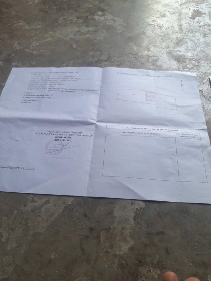 Đất thổ cư 400m² + 80m² đất vườn Tân Ân, Cần Đước chỉ 1.1 tỷ - Cần bán gấp!