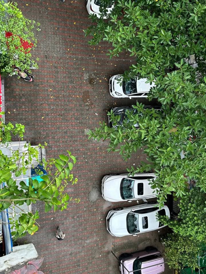 Cho thuê nhà mặt phố Đội Cấn, Ba Đình, Hà Nội 100m² - Bàn giao ngay, vị trí đắc địa!