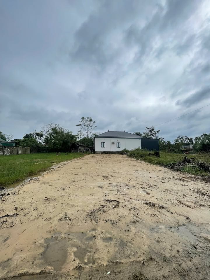 Lô đất đẹp 168m² tại xã Nghi Trường - Giá chỉ 1.3 tỷ - Đầu tư sinh lời!