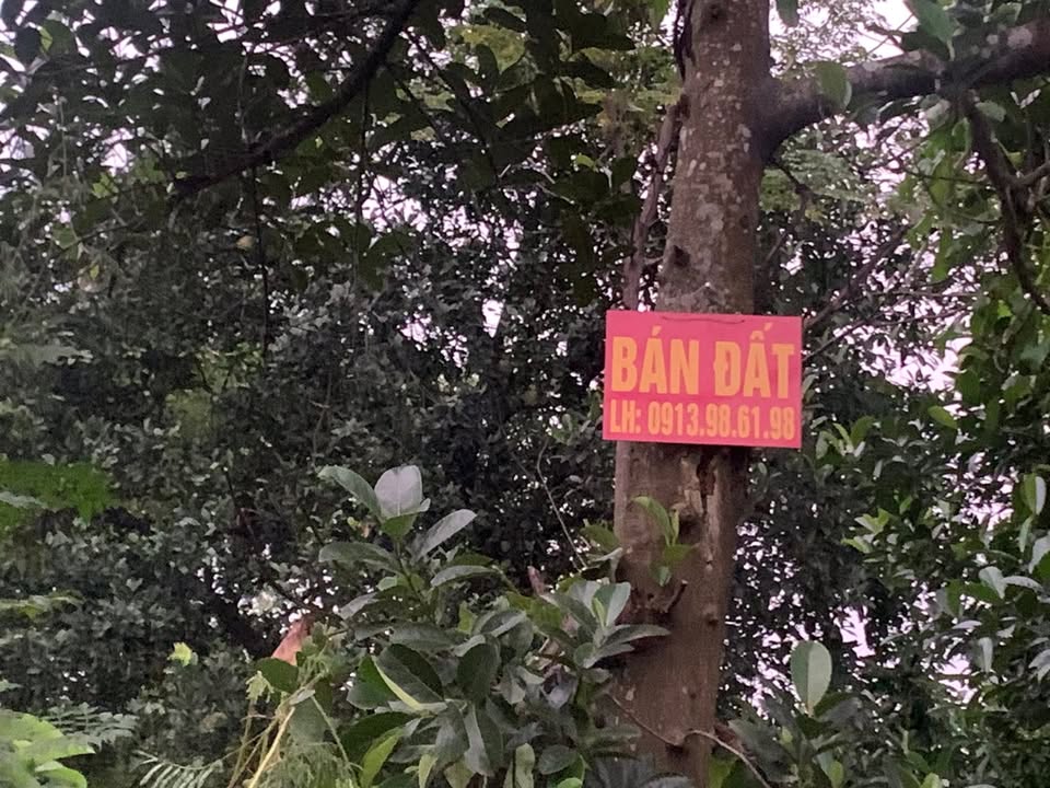 Đất thổ cư 1067m² tại thôn Kép, xã Việt Tiến - Giá chỉ 3.2 tỷ, thương lượng!