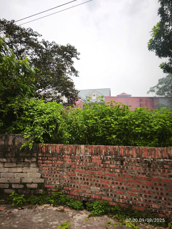 Đất thổ cư 100m² tại Cao Thượng, Tân Yên - Chỉ 1 tỷ VND