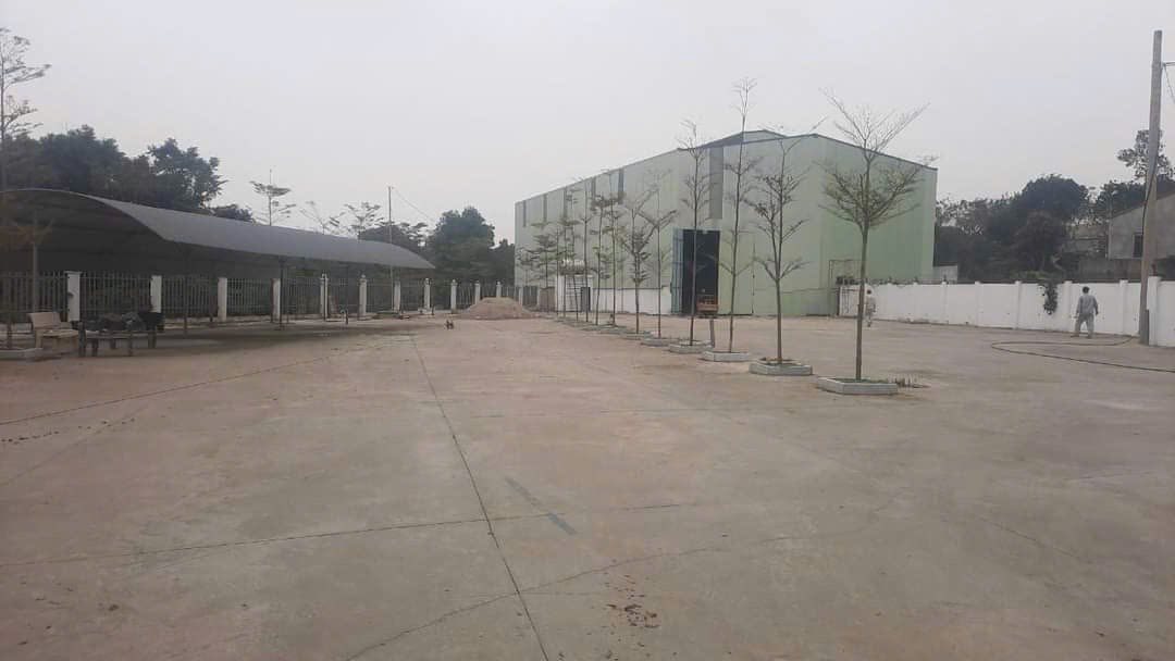 Nhà xưởng 3300m² tại Xuân Sơn, Sơn Tây - Đầu tư sinh lời ngay hôm nay!