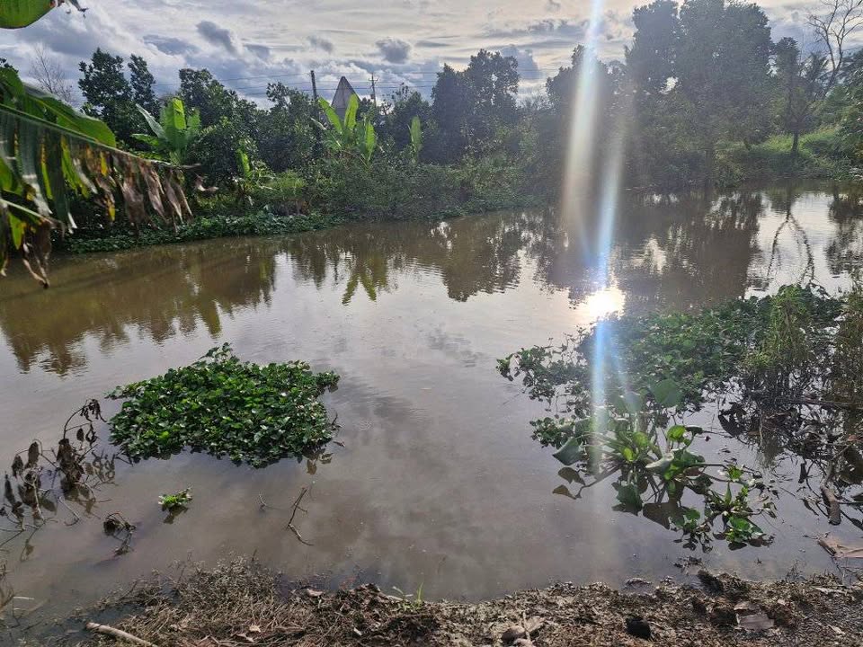 Farm cho thuê 27.000m² tại Thanh Mỹ, Tháp Mười - Giá 5,5 triệu/năm