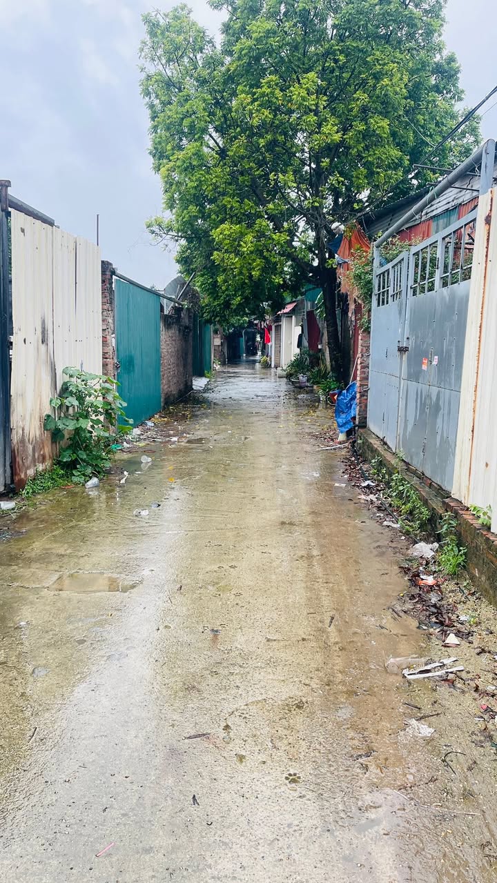 Đất nền 300m² tại Văn Trì, Bắc Từ Liêm - Ô tô vào tận nơi, giá thỏa thuận!