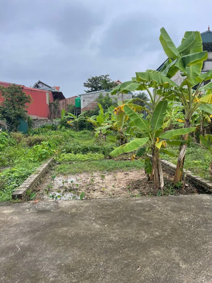 Đất nền 84.5m² tại Thượng Hồng, Văn Giang - Tiện ích đầy đủ, giá thỏa thuận!