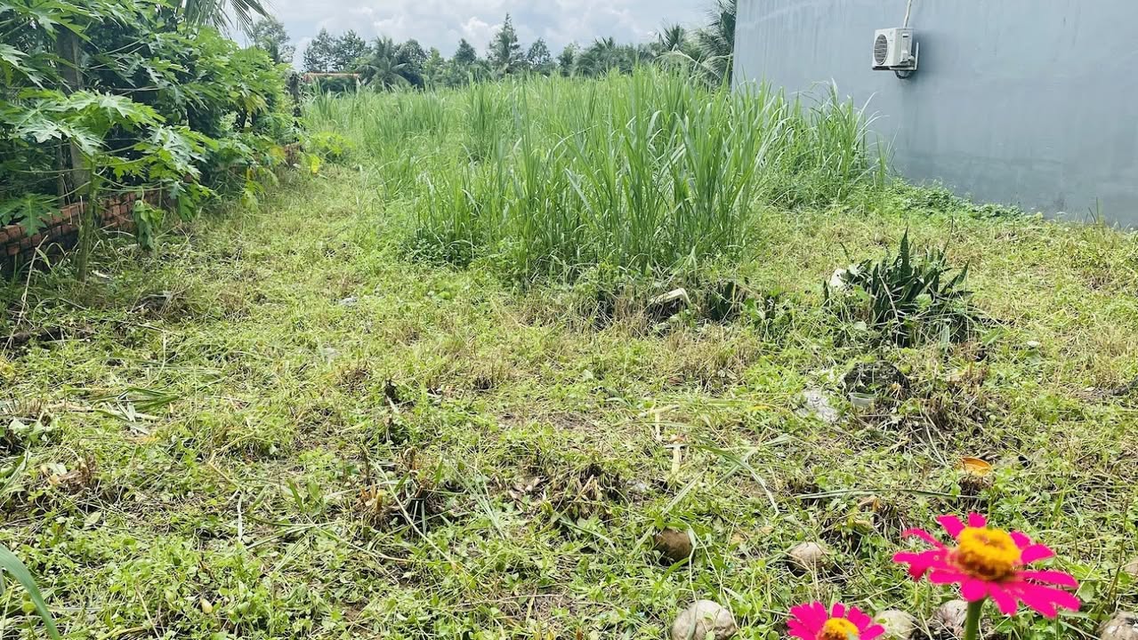 Đất nền mặt tiền 5x20m tại xã Hữu Định, Châu Thành, Bến Tre - Giá hợp lý, pháp lý rõ ràng!