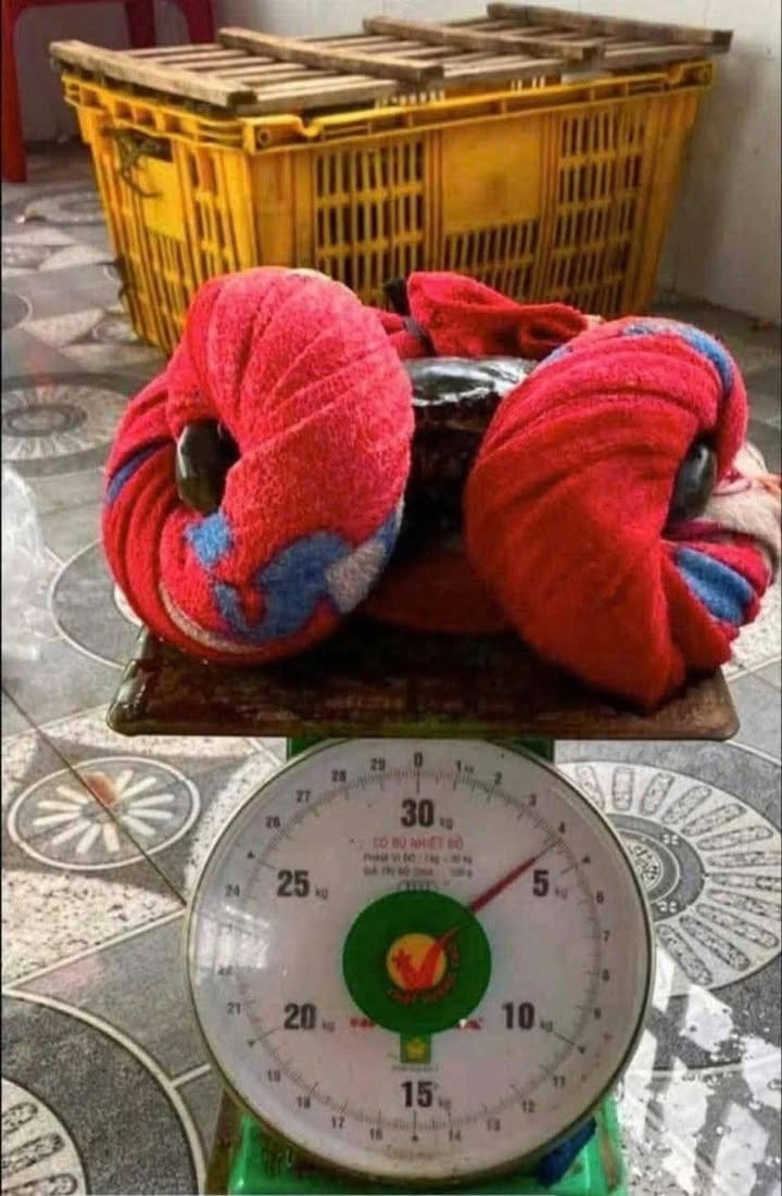 Đất thổ cư 300m² tại Ngọc Định, Định Quán, 8000m² - Giá chỉ 2.5 tỷ VND!