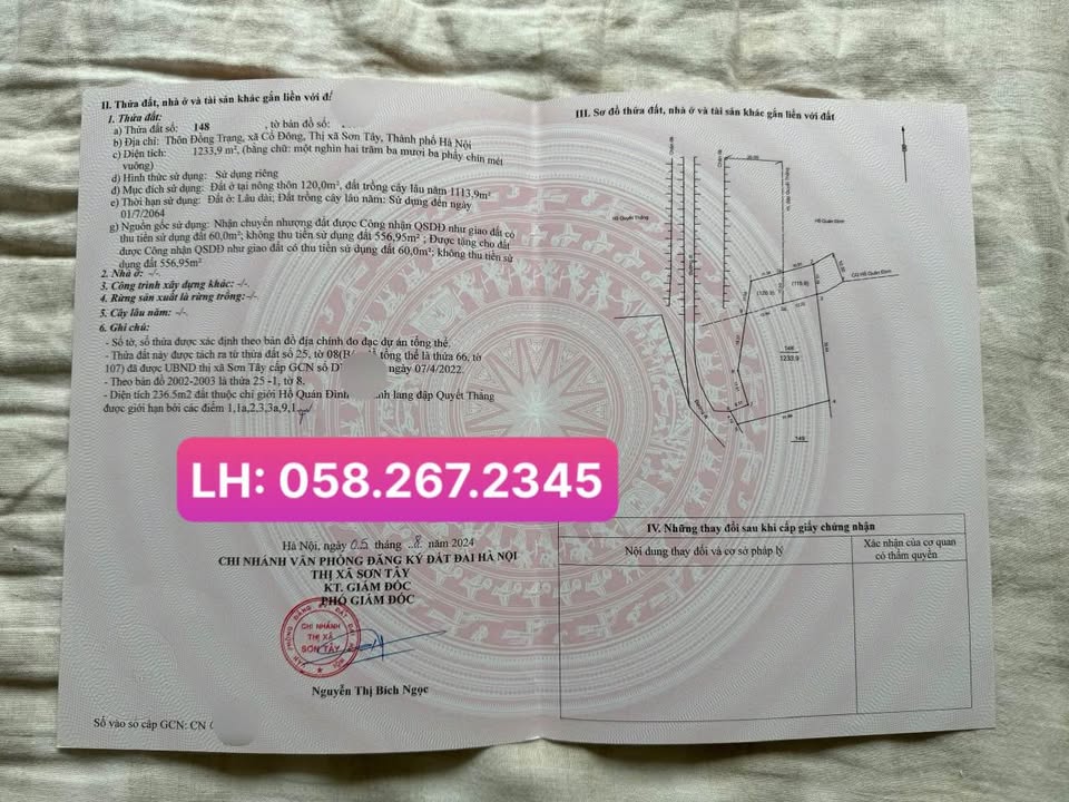 Đất nền tại thôn Đồng Trạng, Sơn Tây 1.233m² - Cơ hội đầu tư sinh lời!