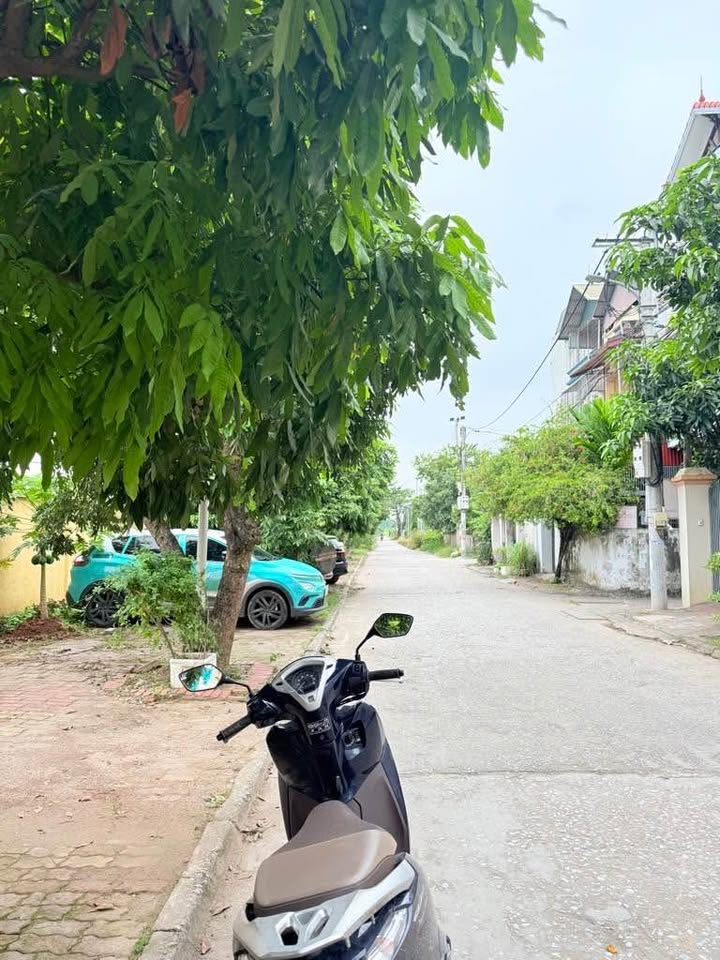 Đất nền Trâu Quỳ, Gia Lâm, Hà Nội 60m² - Mặt tiền rộng, ô tô tránh