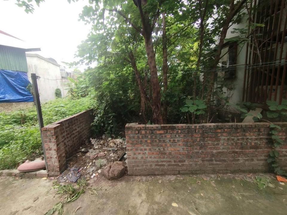 Đất đẹp Phúc Lợi Long Biên 78m² giá 8 tỷ - Đầu tư sinh lời ngay!