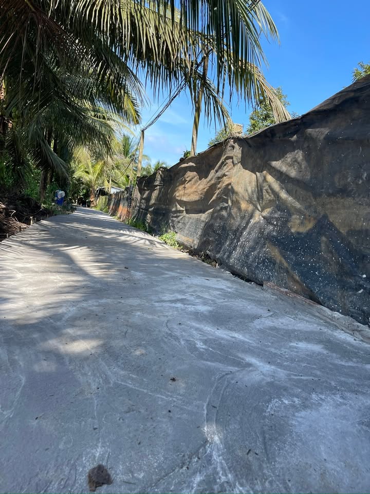 Đất nền Tân Hội, Đồng Tháp 200m² giá 350 triệu - Cơ hội đầu tư sinh lời!