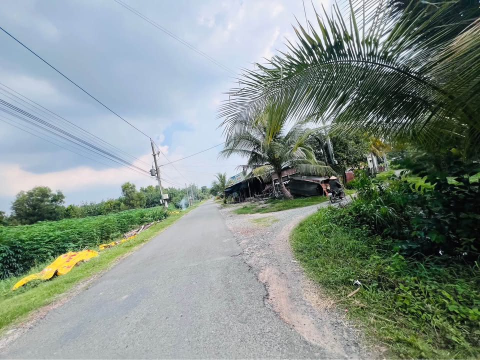 Đất thổ cư 200m² tại Ấp Rộc B, Gò Dầu - Giá chỉ 350 triệu, sẵn sàng xây dựng!