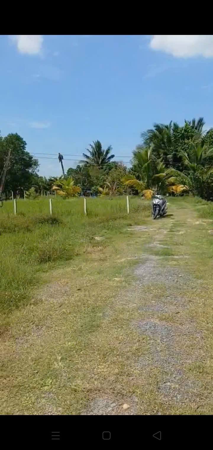 Đất nền Gia Lộc, Trảng Bàng 567m² giá 600 triệu - Cơ hội đầu tư lý tưởng!