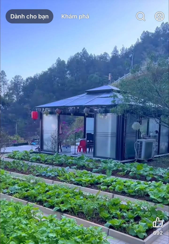 Đất thổ cư 634m² tại Vũ Đoài, Vũ Thư - Tiềm năng kinh doanh lớn!