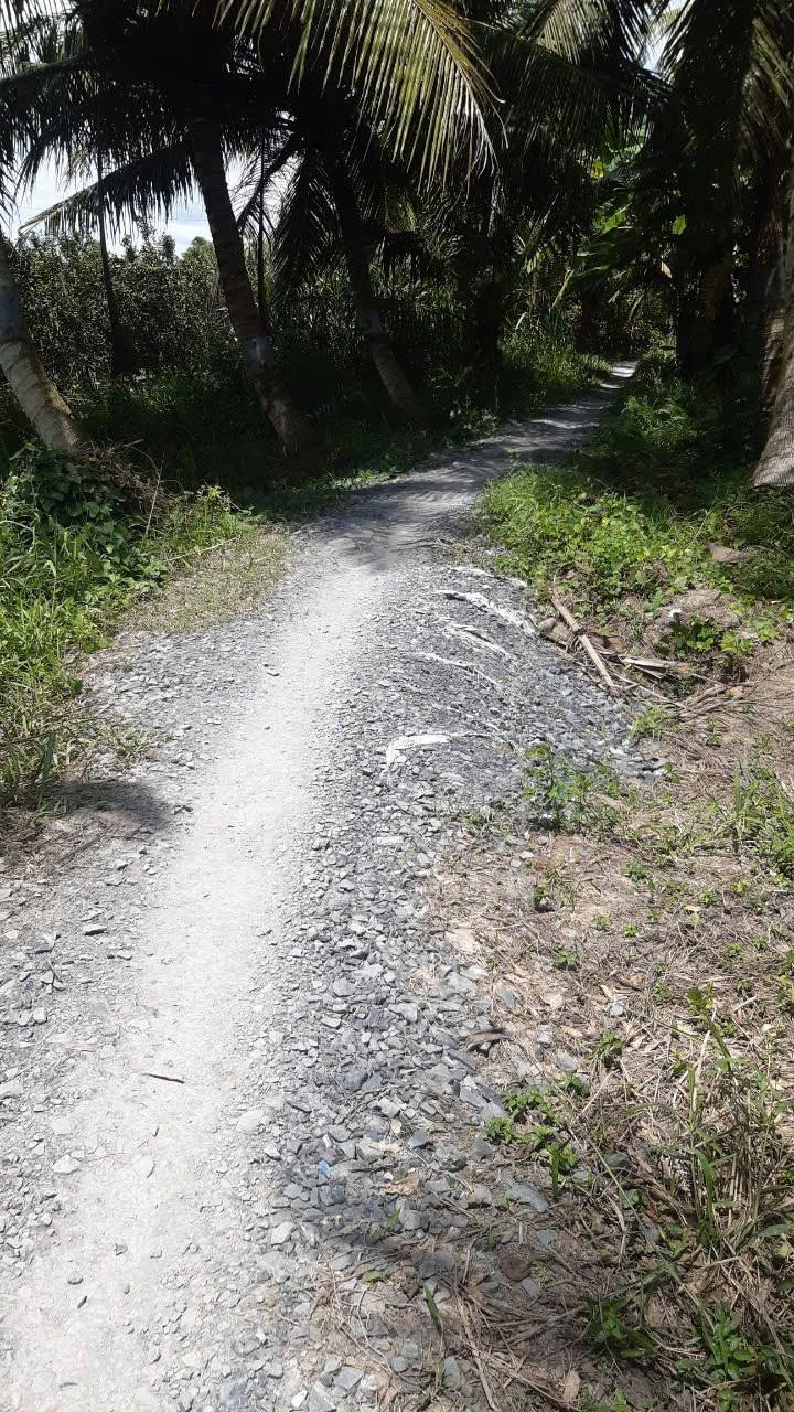 Đất nông nghiệp Hòa Bình Trà Ôn 5348m² giá 1.4 tỷ - Pháp lý rõ ràng