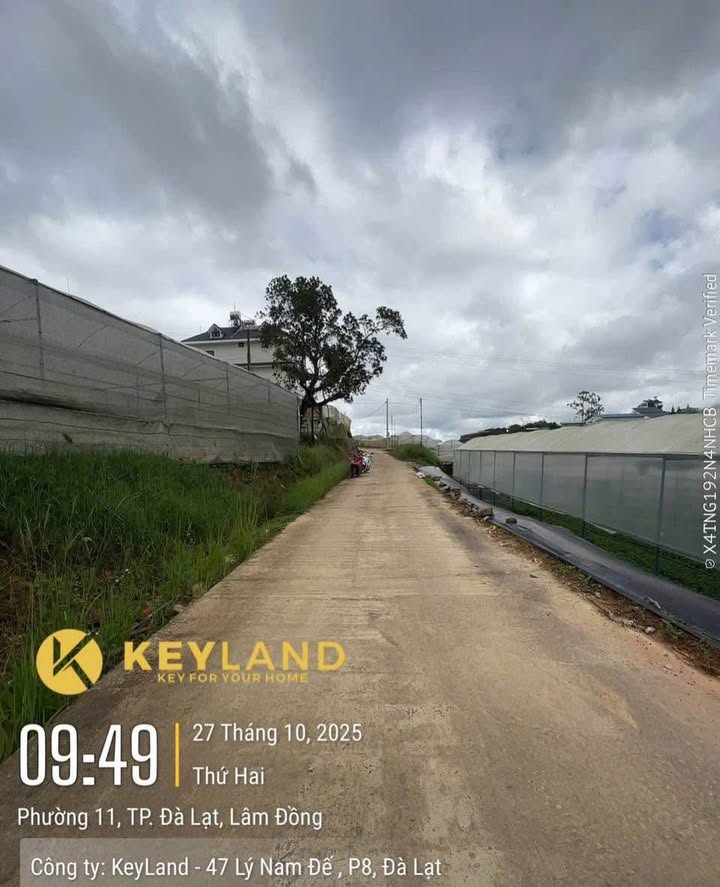 Đất nền Đà Lạt 2931m² giá 38.1 tỷ - View đẹp, sổ đỏ chính chủ!