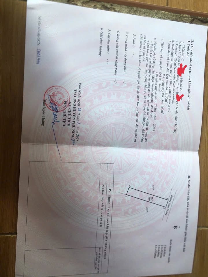 Đất nền Phong Châu 210m² giá 700 triệu - Tiềm năng sinh lời cao!