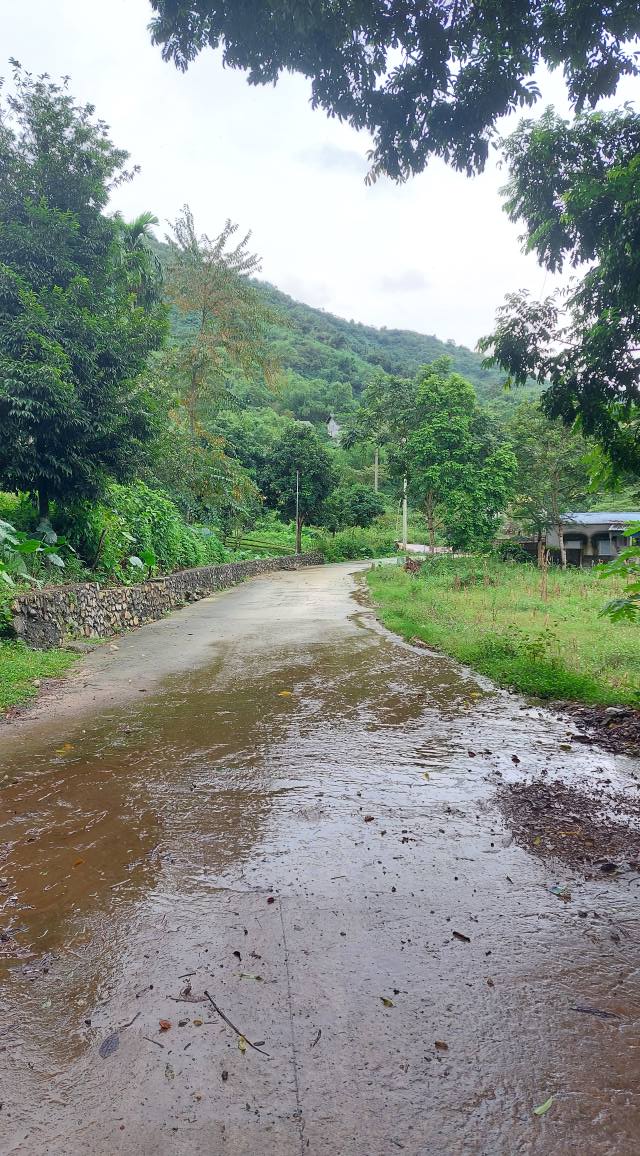 Đất thổ cư 250m² tại Cư Yên, Lương Sơn, Hòa Bình - Giá cực kỳ đầu tư!