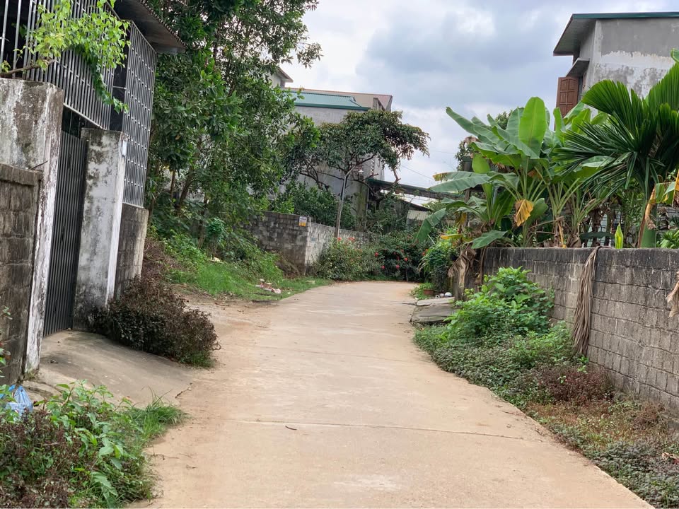 Đất thổ cư An Tường Tuyên Quang 125m² giá 780 triệu - Lô vuông vắn, đầu tư sinh lời!