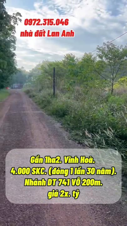 Đất SKC Vĩnh Hòa, Phú Giáo 11.500m² giá 25 tỷ - Tiềm năng đầu tư sinh lời ổn định!