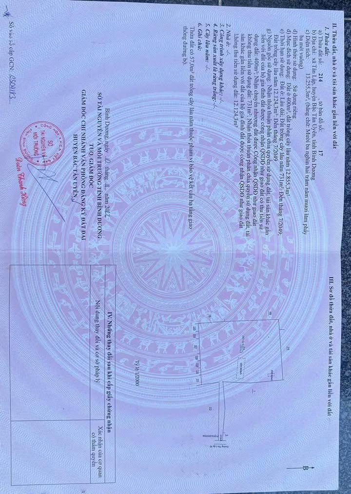 Đất nền Tân Lập, Tân Uyên 1,3ha giá thỏa thuận - Tiềm năng đầu tư lớn!